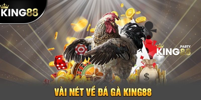 Đá Gà King88